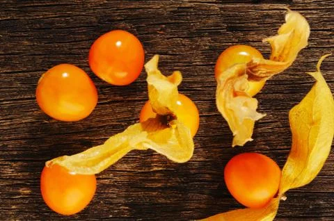 Physalis Stock Photos