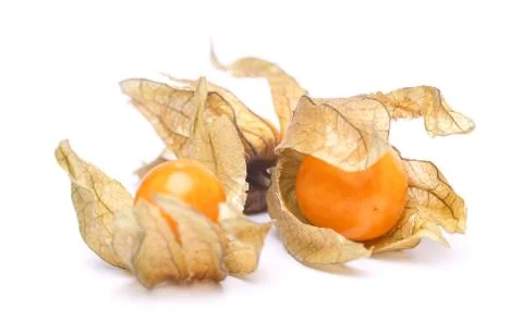 Physalis Stock Photos