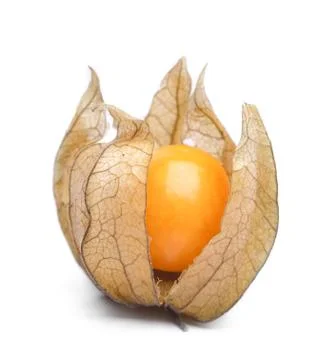 Physalis Stock Photos