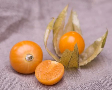 Physalis Stock Photos