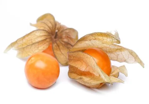 Physalis Stock Photos