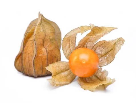 Physalis Stock Photos