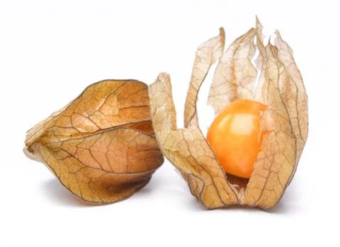 Physalis Stock Photos
