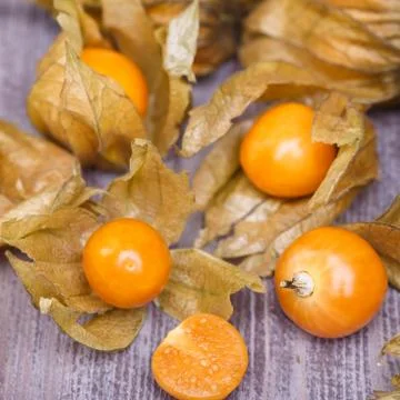 Physalis Stock Photos