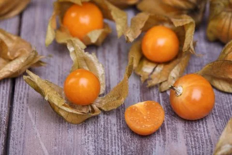 Physalis Stock Photos
