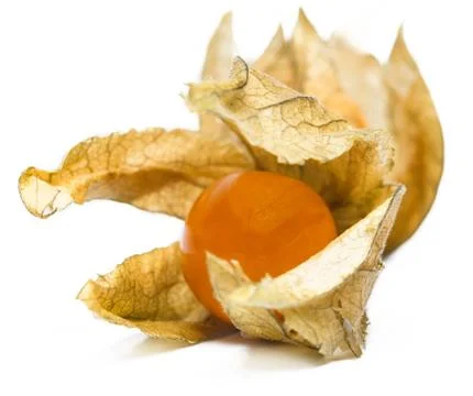 Physalis Stock Photos