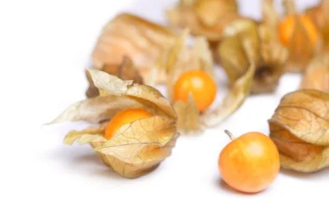 Physalis Stock Photos