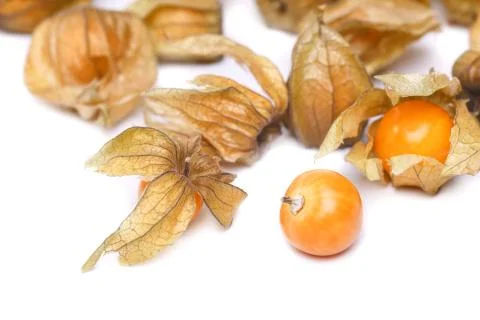 Physalis Stock Photos