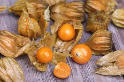 Physalis Stock Photos