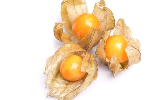 Physalis Foto stock