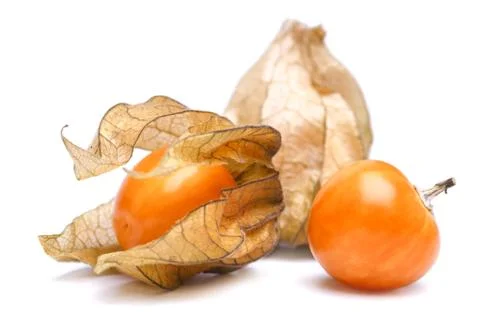 Physalis Stock Photos