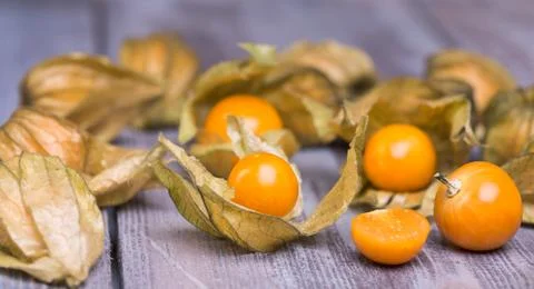 Physalis Stock Photos