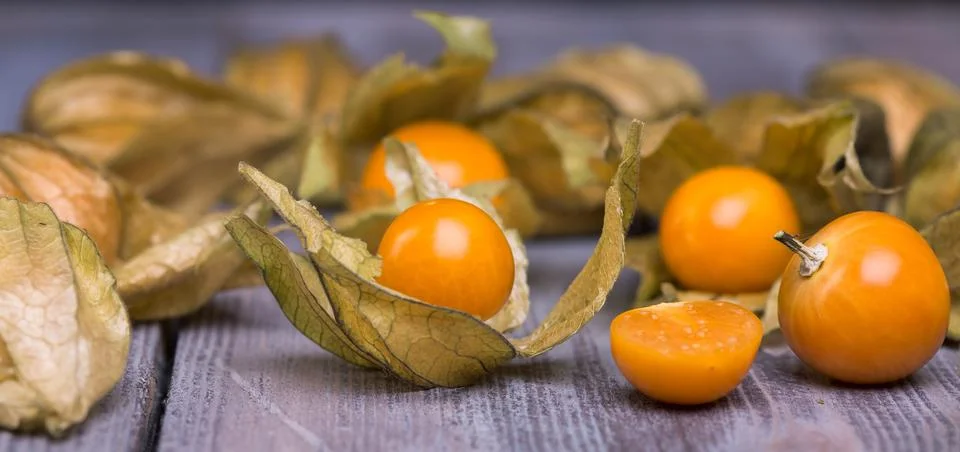 Physalis Stock Photos