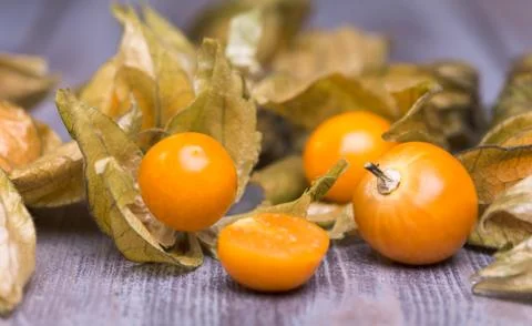 Physalis Stock Photos