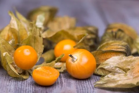 Physalis Stock Photos