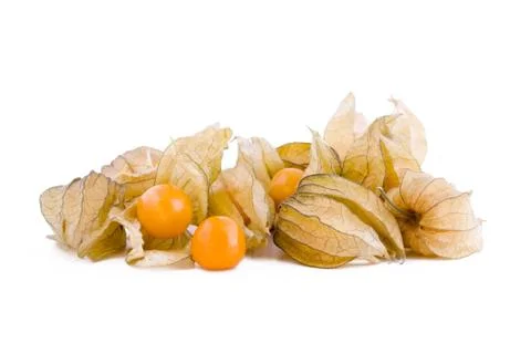 Physalis Stock Photos