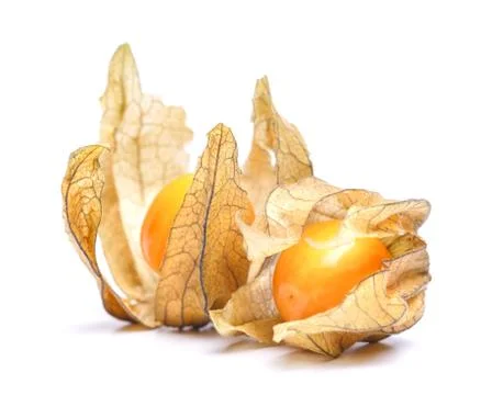 Physalis Stock Photos