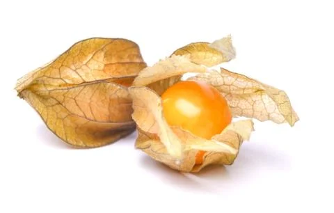 Physalis Stockfoto's
