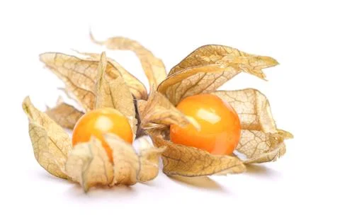 Physalis Stock Photos