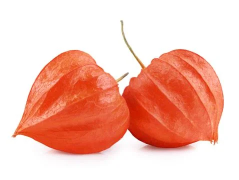 Physalis Stock-Fotos