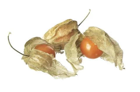 Physalis Foto stock