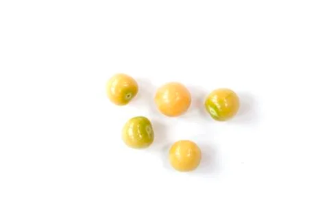 Physalis Stock Photos