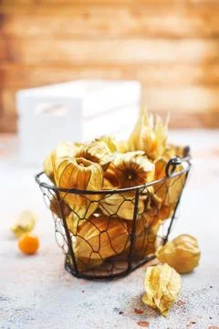 Physalis Stock Photos