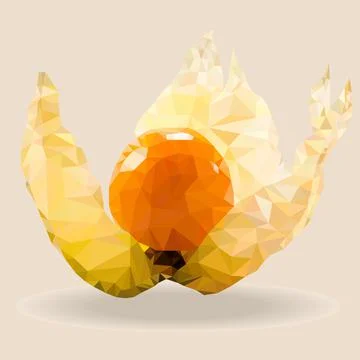 Physalis plant Illustrazione stock