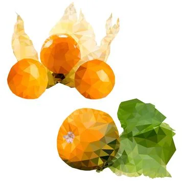 Physalis, pumpkin Stock Illustration