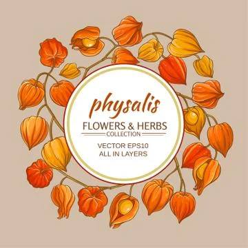 Physalis vector frame Stock Illustration
