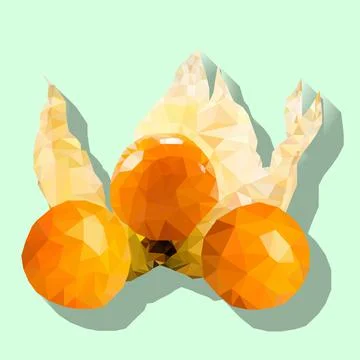 Physalis vegetable Stock Illustration