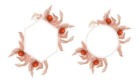 Physalis watercolor frame with space for text Stock Illustration
