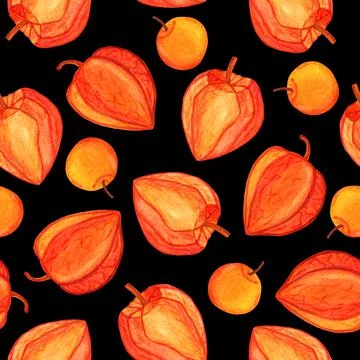 Physalis watercolor seamless pattern isolated on black background Stock Illustration