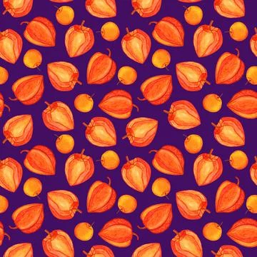Physalis watercolor seamless pattern isolated on violet background Stock Illustration