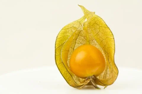 Physalis on white background Stock Photos