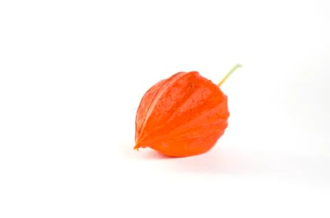 Physalis on a white background. Stock Photos