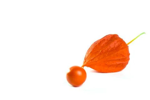 Physalis on a white background. Stock Photos