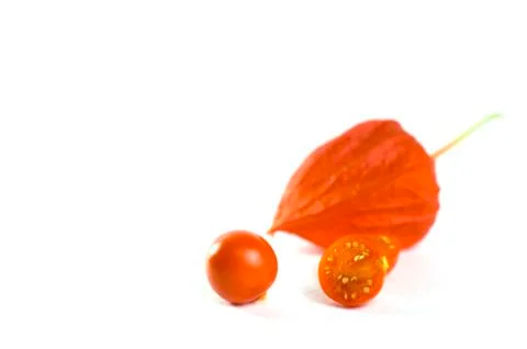 Physalis on a white background Stock Photos