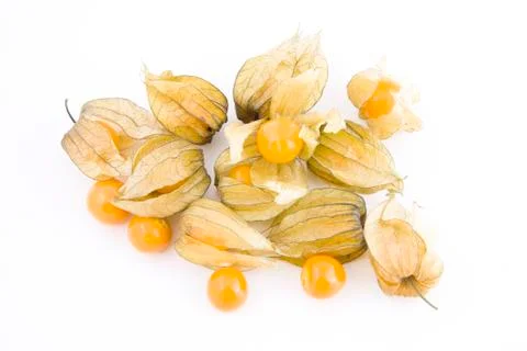 Physalis on white Stock Photos