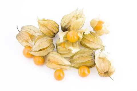 Physalis on white Stock Photos