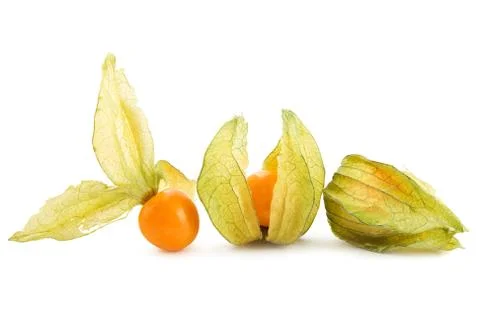 Physalis on white Stock Photos