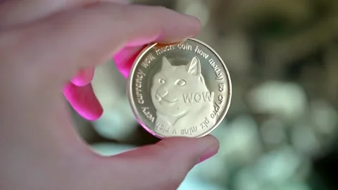 Physical Dogecoin (flipped over) Stock Footage 167282433