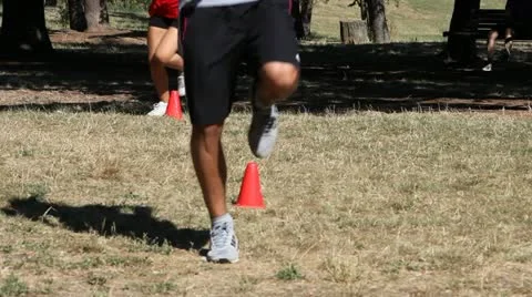 Physical exercise in a park Stock Footage 11390136