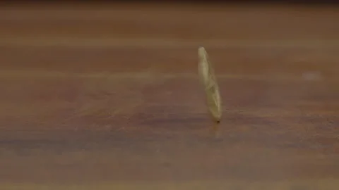 A physical gold Bitcoin coin spinning in slow motion Stock Footage 334771343