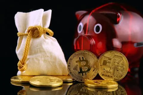 Physical version of Bitcoin (new virtual money) and Piggy Bank. Conceptual .. Stock Photos