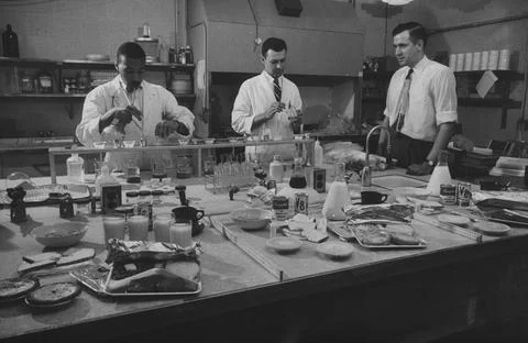 Physicists, USA Stock Photos