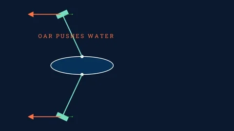 The physics behind sculling Vídeo Stock 335764491