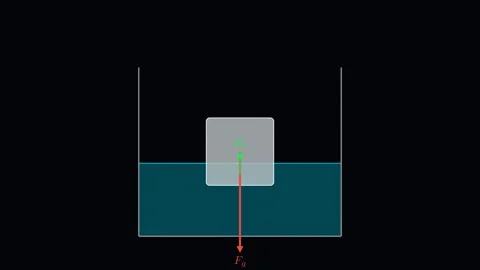 The physics of Buoyancy 스톡 동영상 335764505