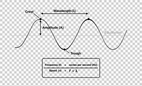 Physics infographic explaining transverse wave anatomy 스톡 일러스트