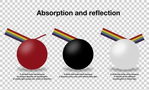 Physics infographic showing light absorption and reflection Stock Illustration